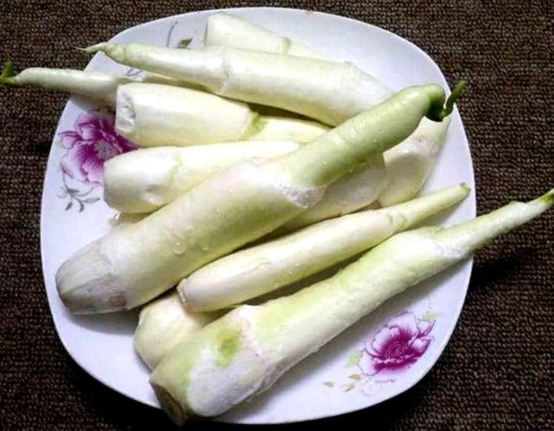 Các bài thuốc dân gian chữa bệnh từ củ niễng hiệu quả 2 Bài thuốc dân gian chữa bệnh từ củ niễng