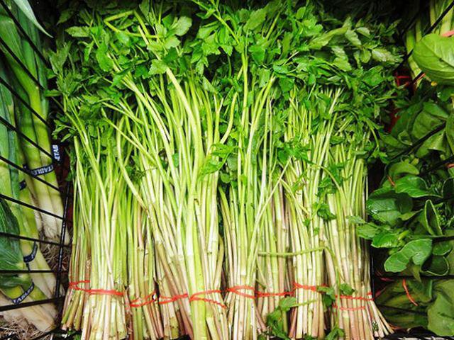 8 bài thuốc chữa bệnh từ rau cần ta bạn nên tham khảo 1 Công dụng chữa bệnh từ rau cần ta