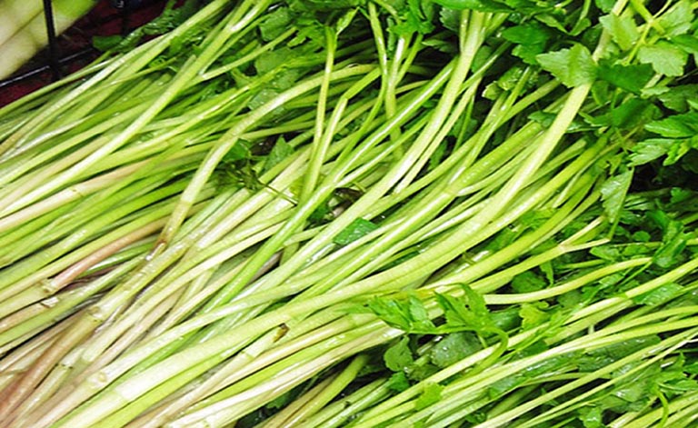 8 bài thuốc chữa bệnh từ rau cần ta bạn nên tham khảo 2 Bài thuốc chữa bệnh từ rau cần ta